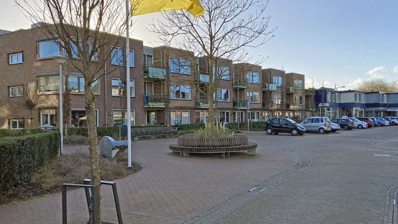 Spectaculaire terugkeer van de otter - Groene Hart Koerier